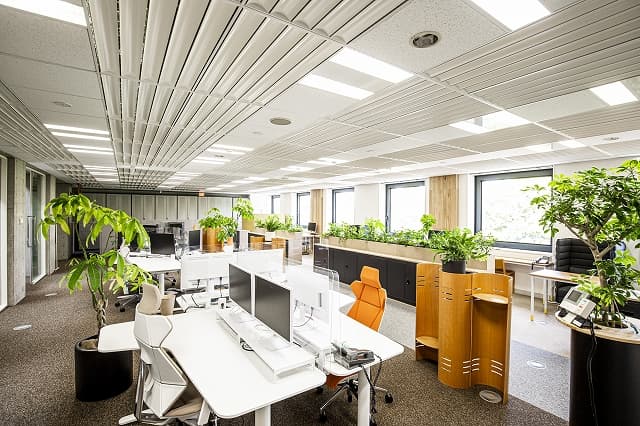 オフィス緑化 東京｜働きやすい空間をつくるグリーンデザインとは