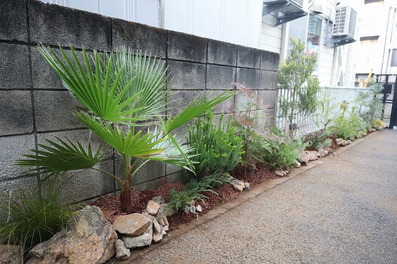 WILD SLIT GARDEN　― 都市のスリットに宿る、自然の野性美 ―