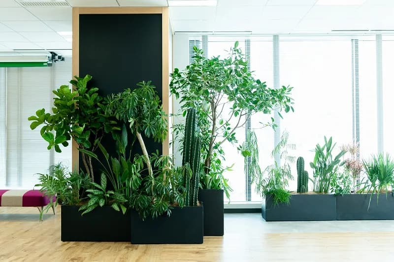 グリーンオフィスプロジェクト 植物生活×ヒキダシグリーンカンパニー