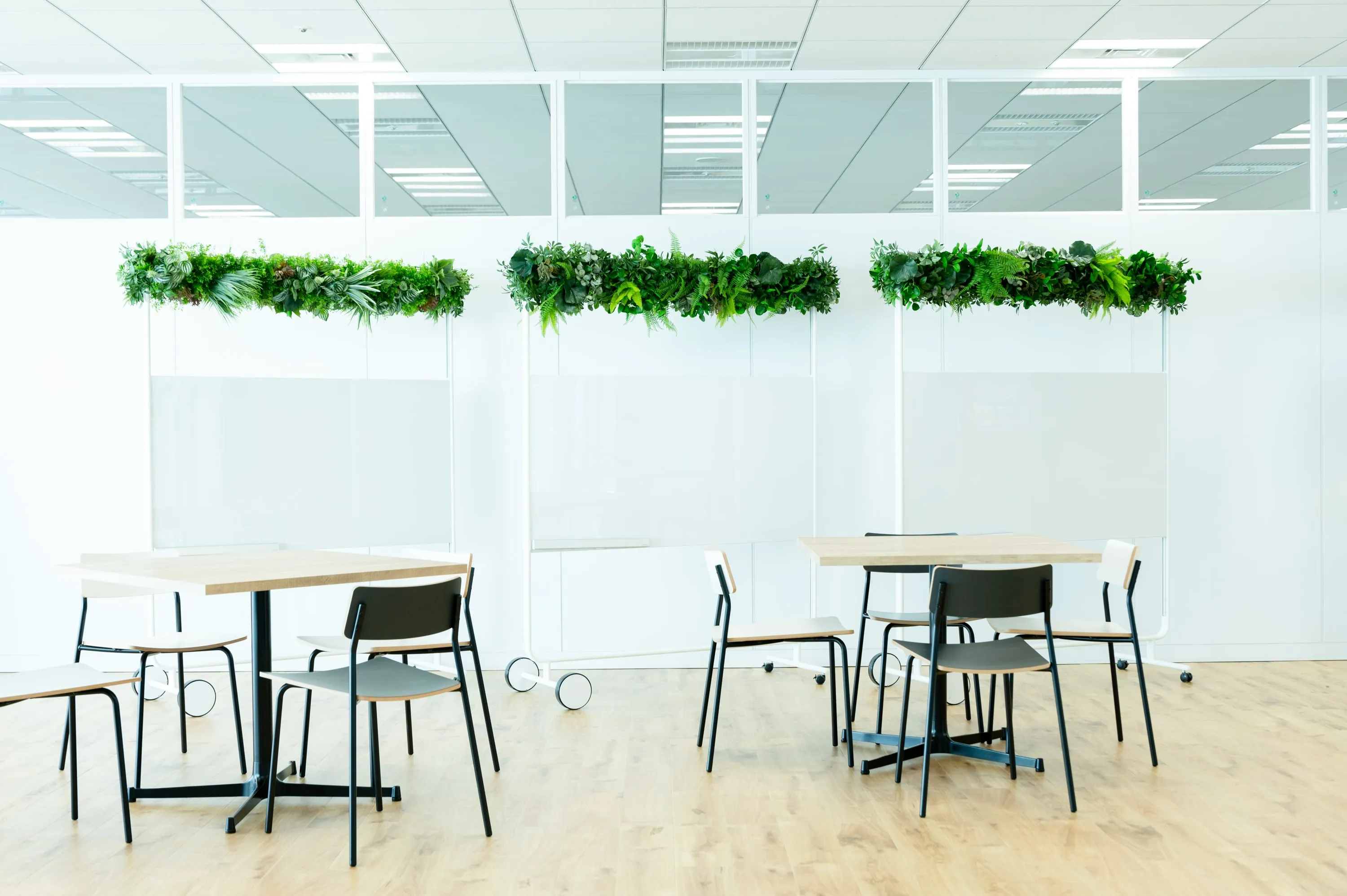 WELL認証とバイオフィリアの導入