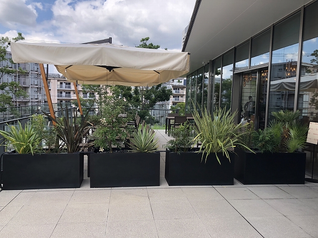 ヒキダシグリーンカンパニー・サステナビオ・サステナブル・バイオフィリックデザイン