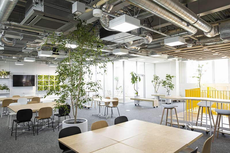 ヒキダシグリーンカンパニー・サステナビオ・サステナブル・バイオフィリックデザイン