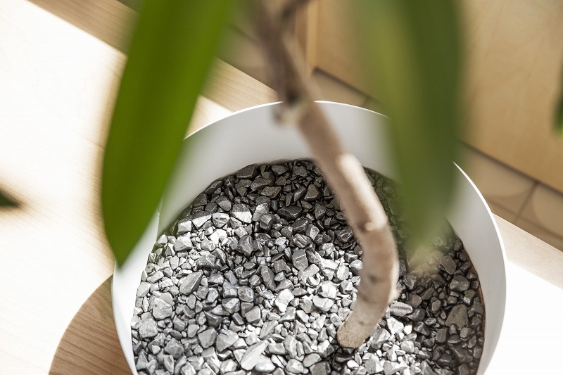 ヒキダシグリーンカンパニー・サステナビオ・サステナブル・バイオフィリックデザイン