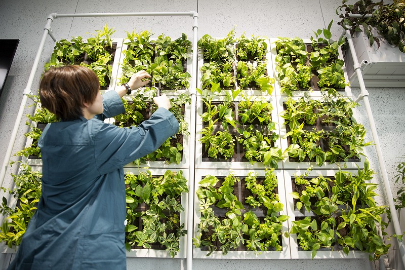 ヒキダシグリーンカンパニー・サステナビオ・サステナブル・バイオフィリックデザイン