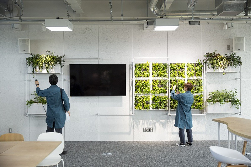 ヒキダシグリーンカンパニー・サステナビオ・サステナブル・バイオフィリックデザイン