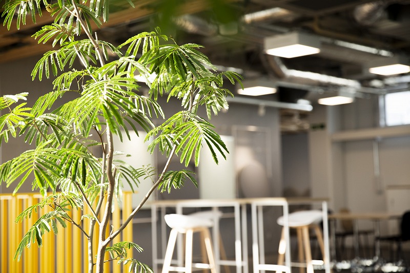 ヒキダシグリーンカンパニー・サステナビオ・サステナブル・バイオフィリックデザイン