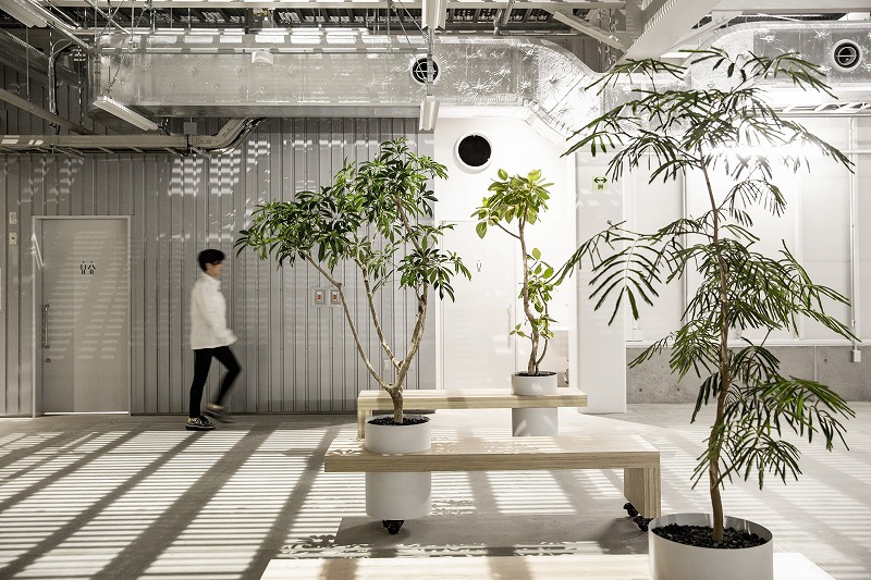 ヒキダシグリーンカンパニー・サステナビオ・サステナブル・バイオフィリックデザイン