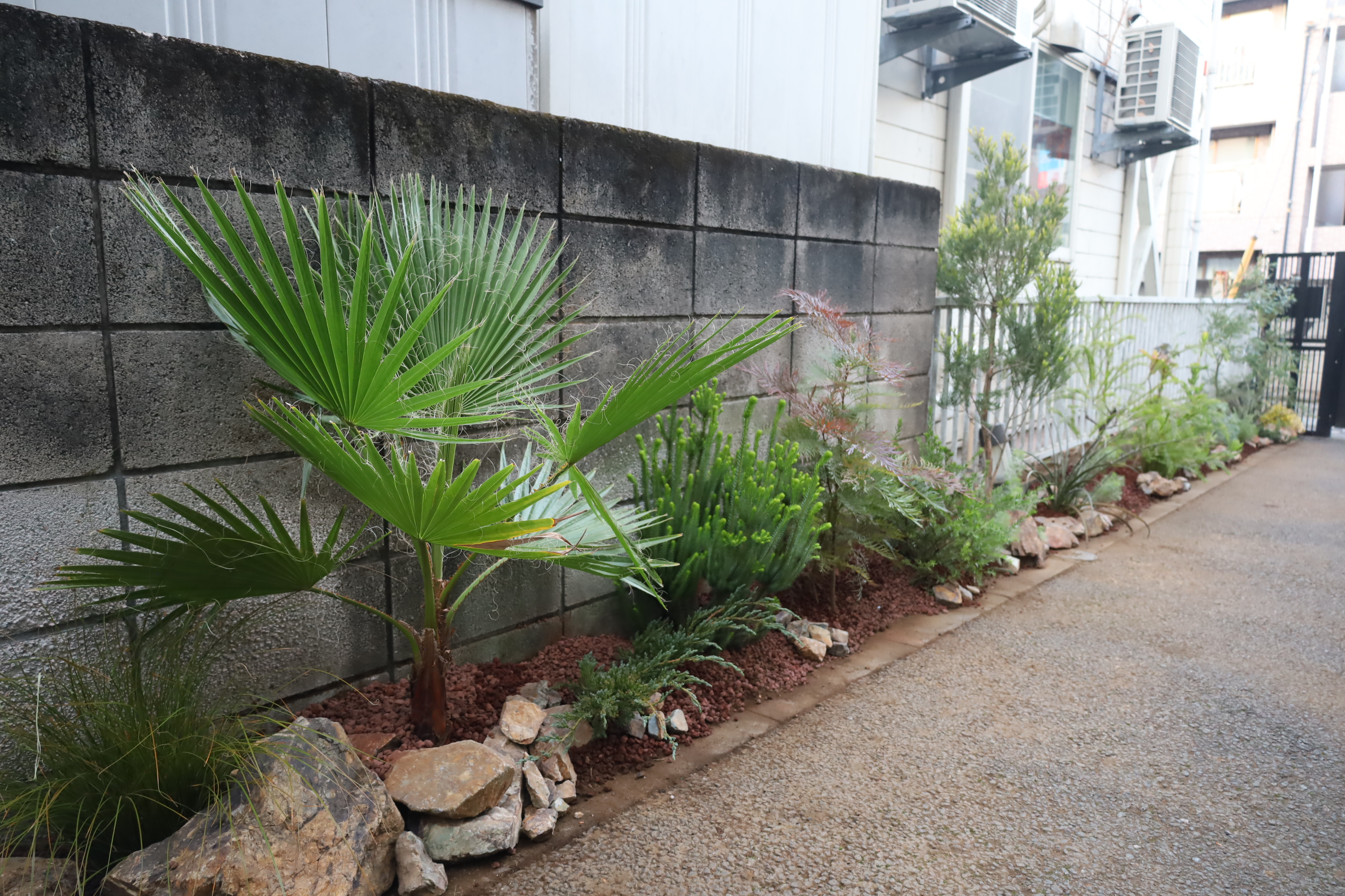 田中建装株式会社 外構植栽リニューアル施工後の植栽帯