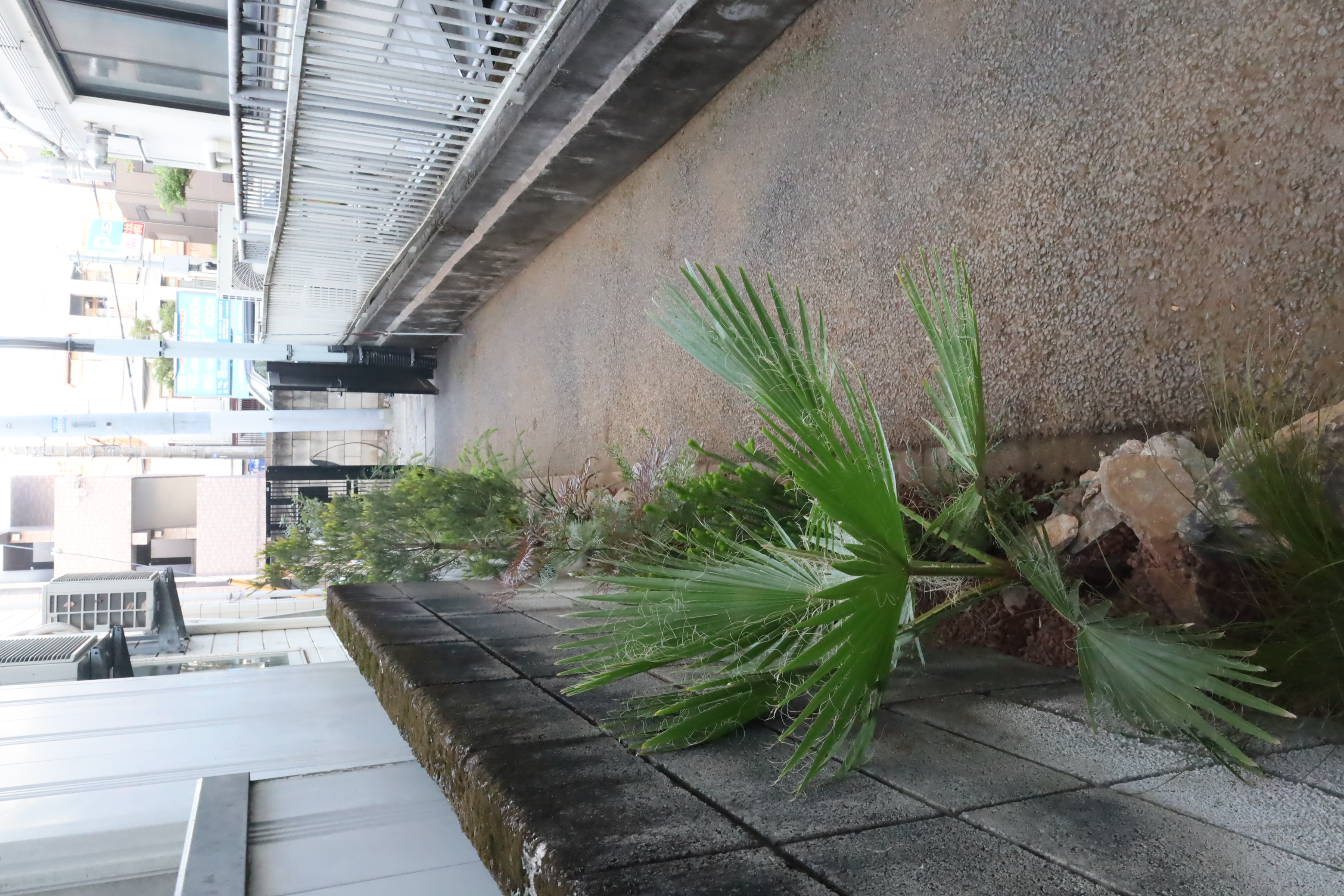田中建装様外構