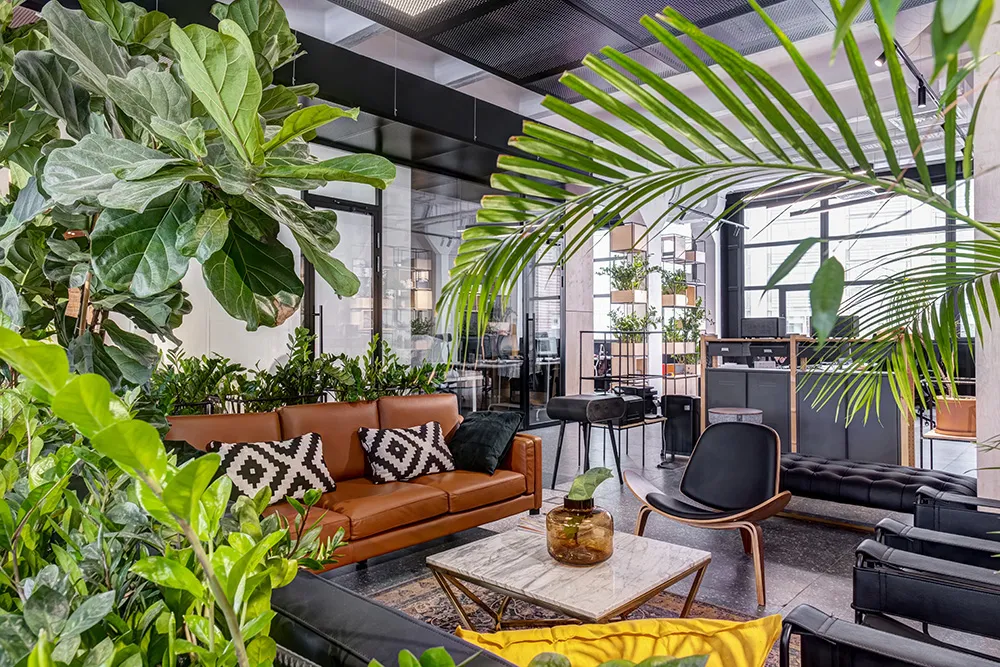 バイオフィリックデザイン　オフィス