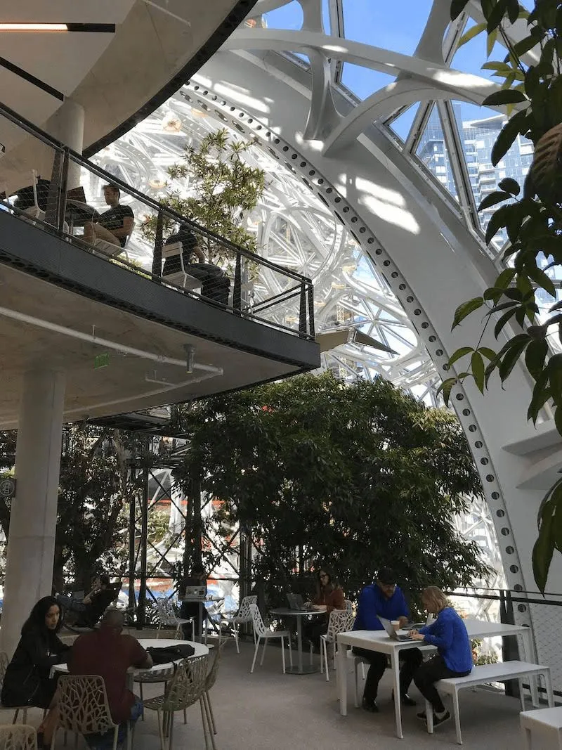 オフィス緑化　生産性