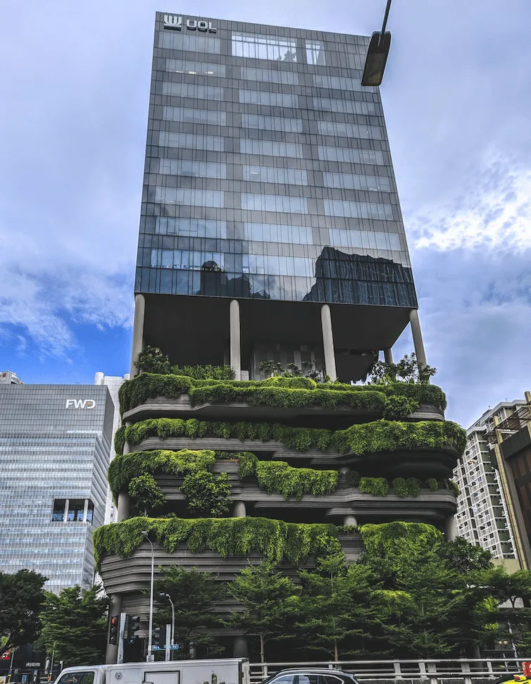 オフィス緑化　生産性