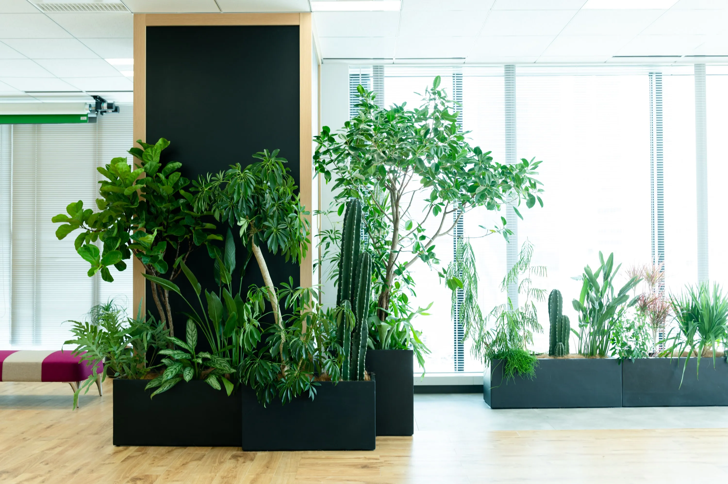 ABW／リチャージエリア